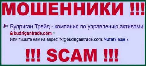 Будриган Трейд - это МОШЕННИКИ !!! SCAM !!!