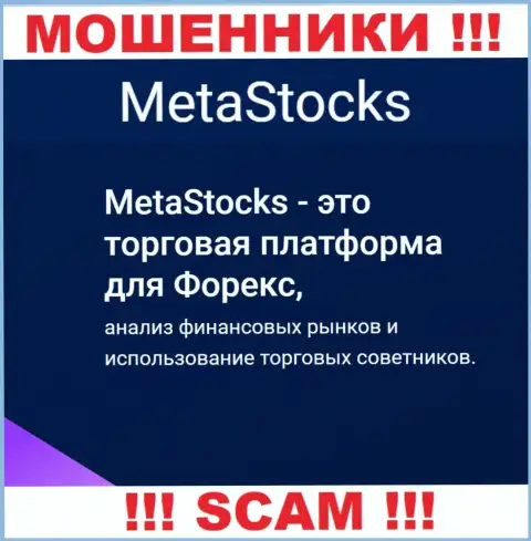 Форекс - конкретно в указанной сфере прокручивают свои делишки наглые мошенники MetaStocks