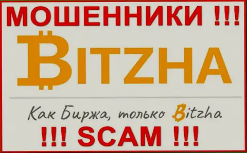 Битза 24 - ЖУЛИКИ ! Денежные активы не отдают !!!