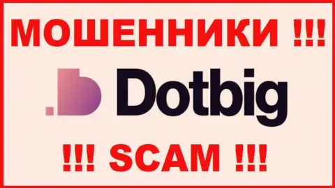 Dot Big - это ОБМАНЩИКИ ! SCAM !!!