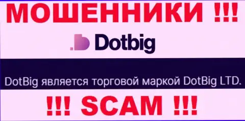 ДотБиг Ком - юр. лицо мошенников организация DotBig LTD