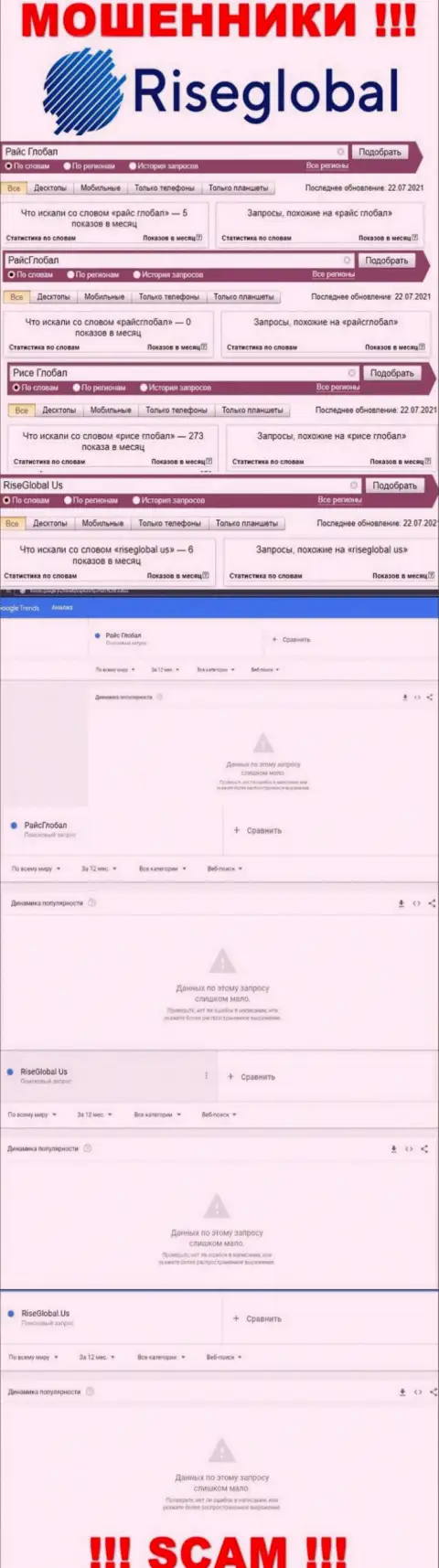 Статистика о online запросах по бренду internet-мошенников Рисе Глобал