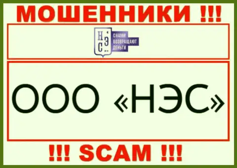 Свое юридическое лицо контора НЭС не скрывает - это ООО НЭС