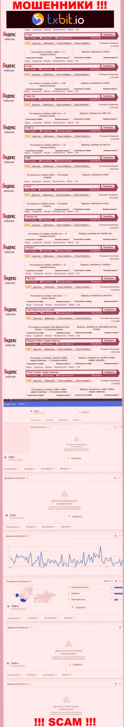 Статистические показатели числа просмотров сведений о аферистах TXBit во всемирной паутине