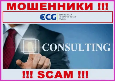 Consulting - это сфера деятельности противозаконно действующей организации ЕвропейскаяКонсалтинговаяГруппа