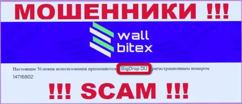 WallBitex - это КИДАЛЫ !!! Управляет указанным лохотроном BigDrop OÜ