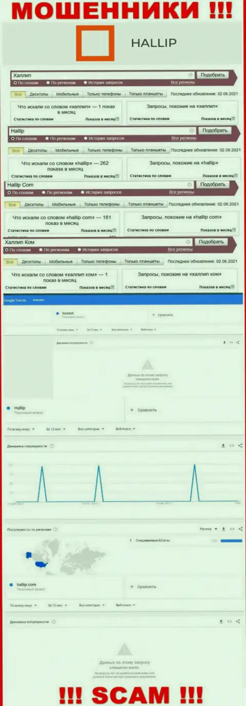Статистика об online-запросах по бренду интернет кидал Халлип