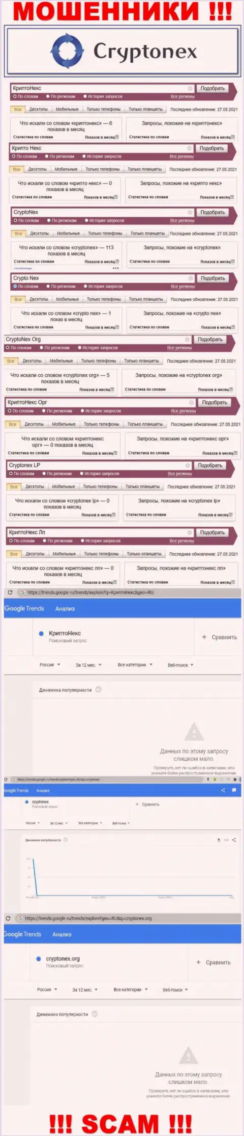 Статистические данные online запросов по бренду CryptoNex