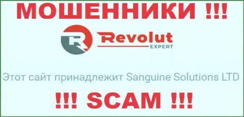 Информация об юр. лице интернет-воров Revolut Expert