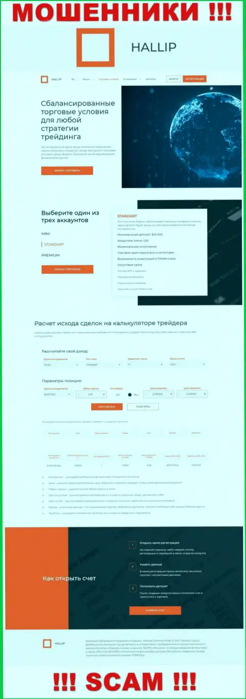 Так выглядит официальное лицо мошенников Hallip