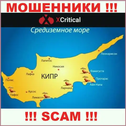 Cyprus - вот здесь, в оффшоре, зарегистрированы интернет-шулера X Critical