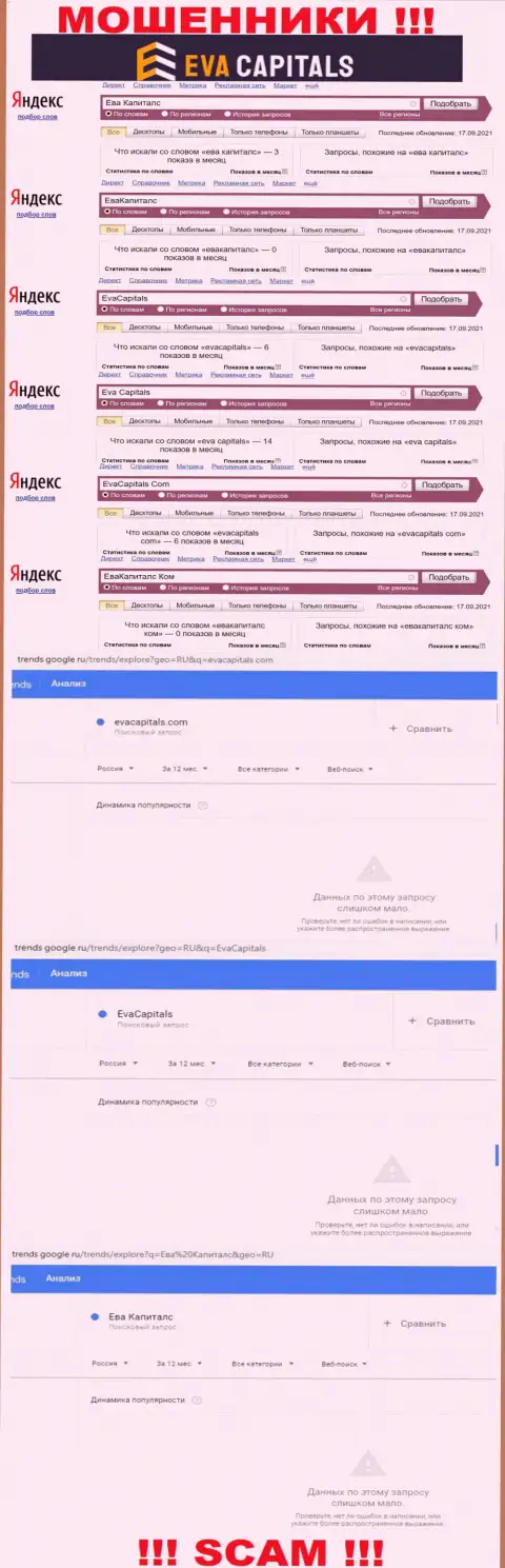 Количество поисковых запросов инфы о жуликах Ева Капиталс в сети Интернет