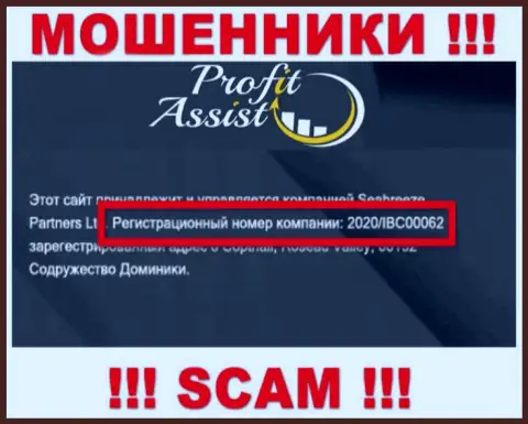 Рег. номер организации ProfitAssist - 2020/IBC00062