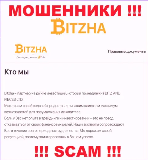 Bitzha 24 - это коварные разводилы, сфера деятельности которых - Инвестирование