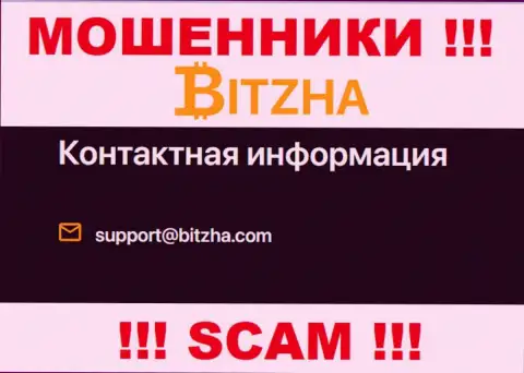 Электронная почта обманщиков Битза, информация с официального сервиса