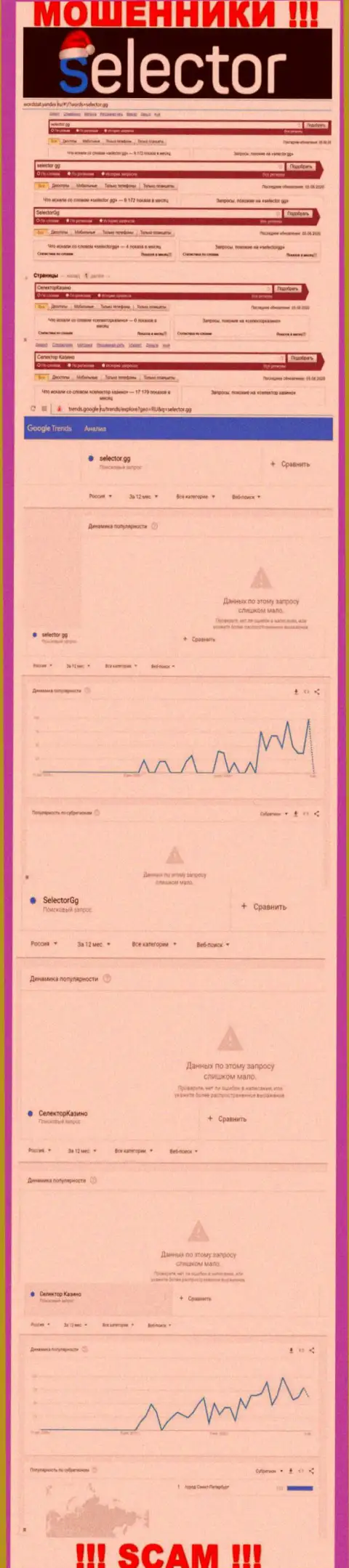 Детальный анализ интернет запросов по преступно действующей компании Selector Gg