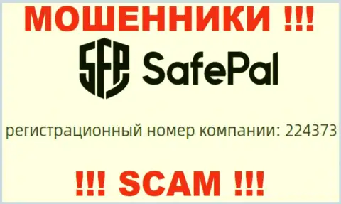 Номер регистрации конторы Safe Pal - 224373