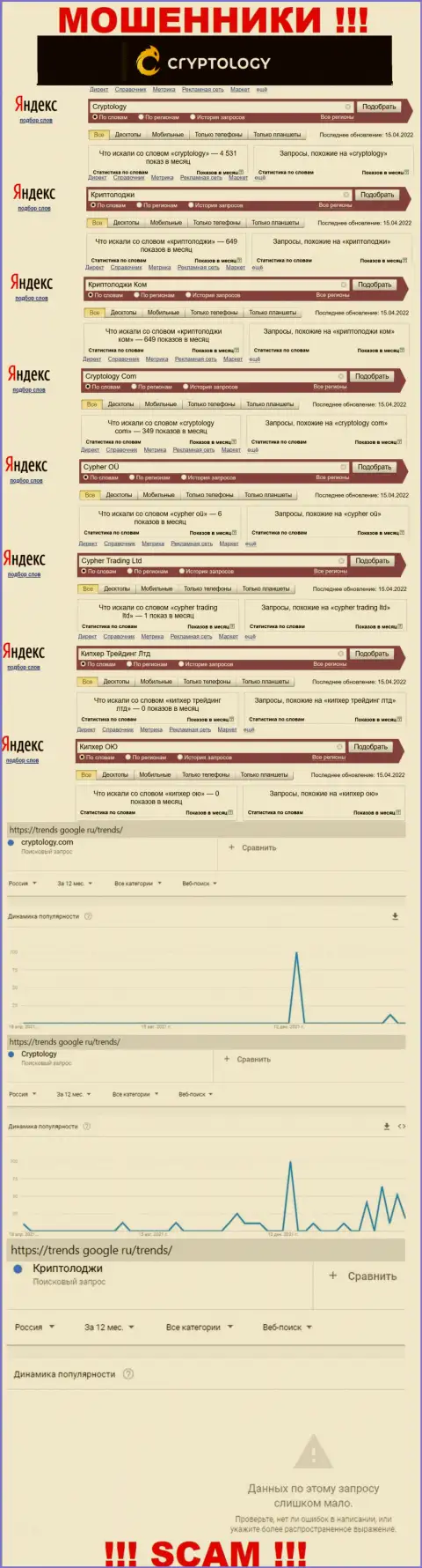 Суммарное число запросов в поисковиках сети интернет по бренду разводил Cryptology Com