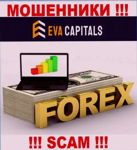 FOREX - это конкретно то, чем промышляют интернет-махинаторы Ева Капиталс