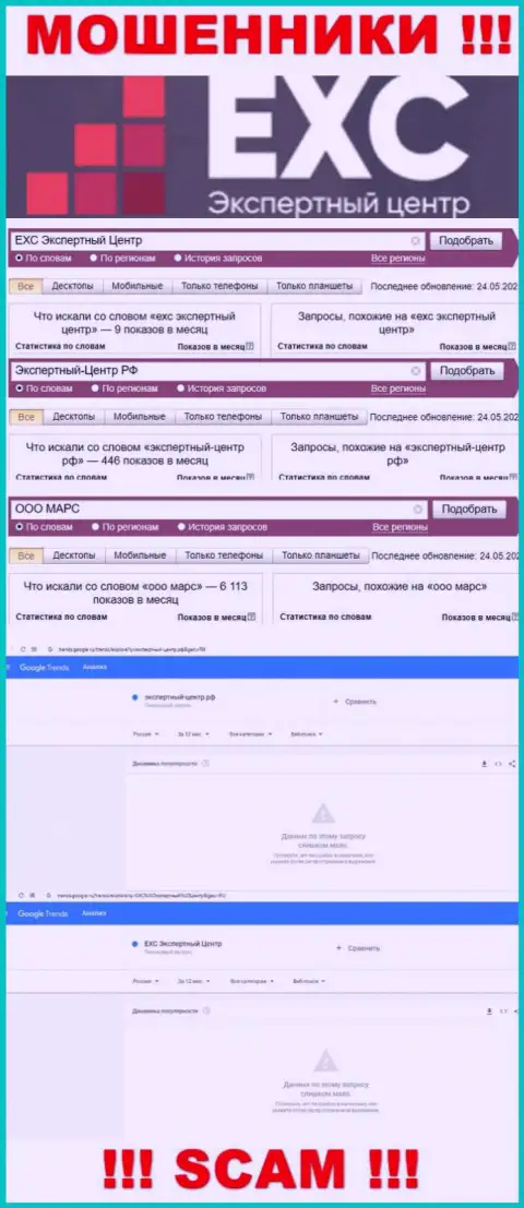 Статистика online запросов по бренду Экспертный Центр России в сети Интернет