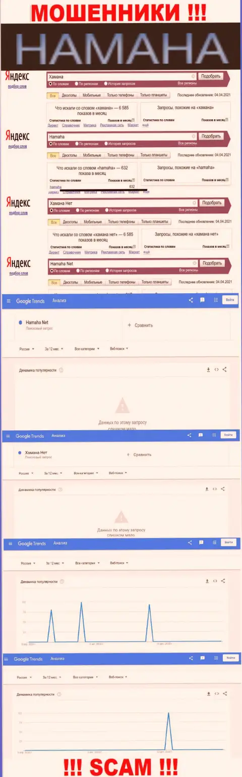 Онлайн-запросы по бренду мошенников Hamaha в поисковиках всемирной internet сети