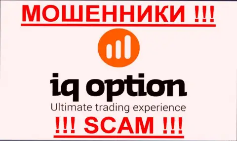 АйКу Опцион - это МОШЕННИКИ !!! SCAM !!!