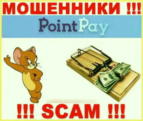 PointPay - это МОШЕННИКИ, не стоит верить им, если станут предлагать увеличить депозит