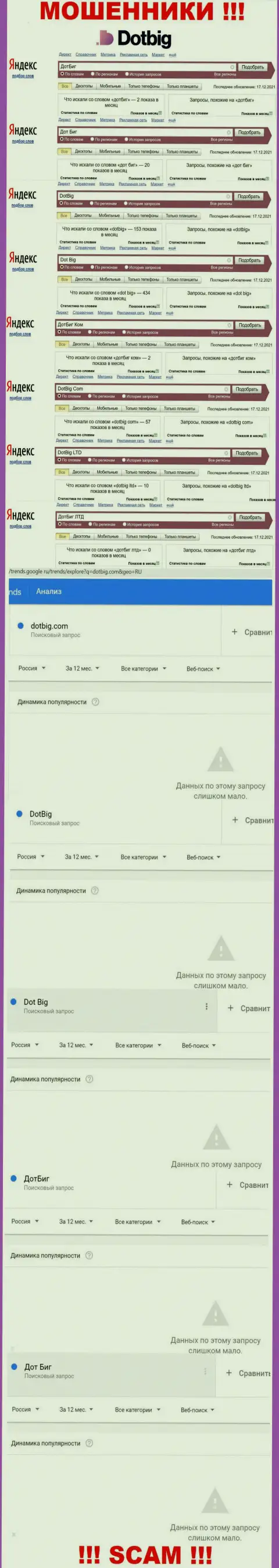 Статистические показатели о брендовых онлайн-запросах в отношении internet-мошенников Dot Big