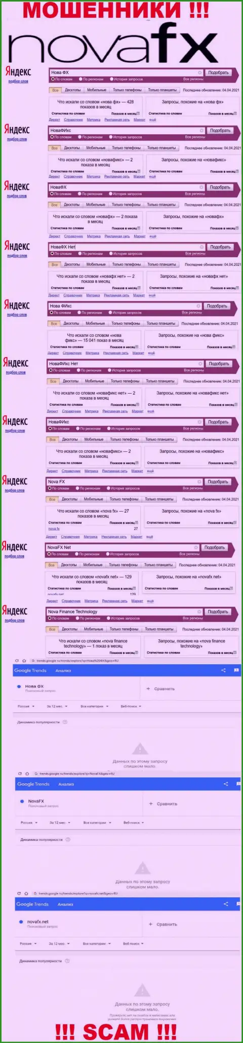 Статистические показатели брендовых поисковых запросов по противозаконно действующей организации NovaFX Net