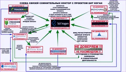 Детальная схема связи Бит Коган с другими организациями