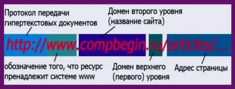 Сведения об организации доменов