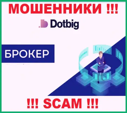 DotBig - это МОШЕННИКИ, вид деятельности которых - Брокер