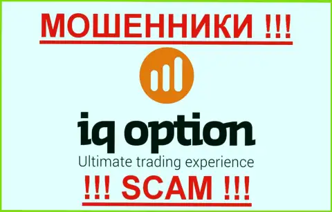 АйКьюОпцион Ком - КИДАЛЫ !!! SCAM !!!