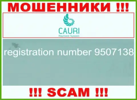 Номер регистрации, принадлежащий незаконно действующей организации Каури: 9507138